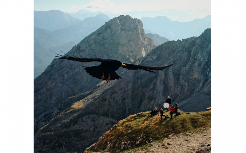 Wide shot of professional south african photographer Jessica Zumpfe standing on the top of the mountain with her team. In the foreground there is a bird flying through the picture.