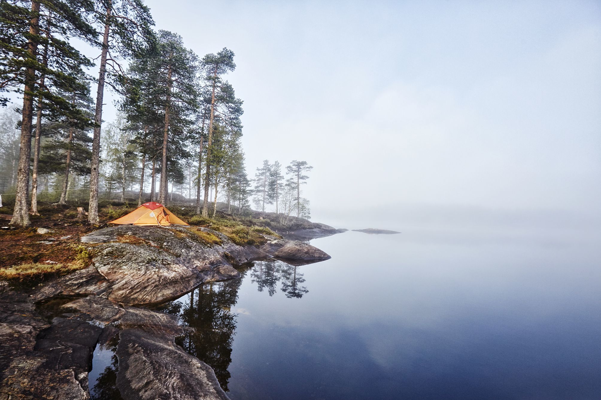 Tent perched ontop of a rock under a group of pine trees next to a lake in Norway