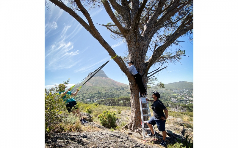 Jessica Zumpfe climbing into a tree on a photoshoot in Cape Town