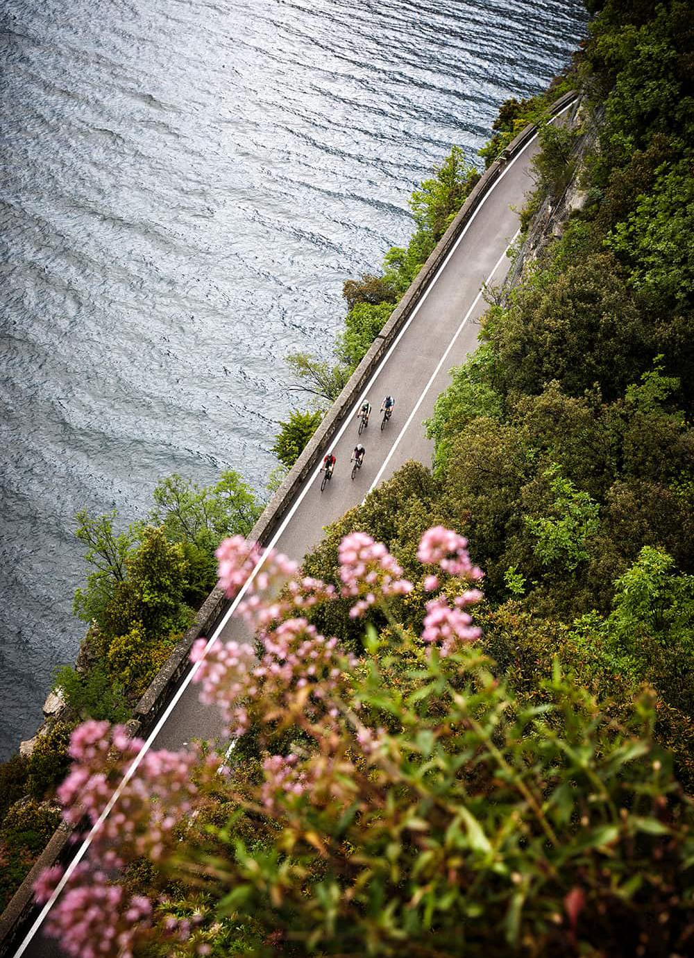 Aerial view of four cyclists on the road next to Lake Garda, with flowers in the foreground